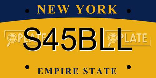 S45BLL New York License Plate