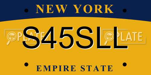 S45SLL New York License Plate