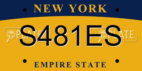 S481ES New York License Plate