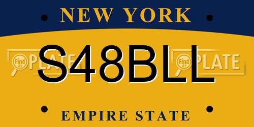 S48BLL New York License Plate