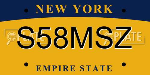 S58MSZ New York License Plate