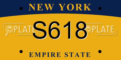 S618 New York License Plate