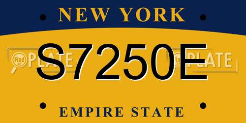 S7250E New York License Plate