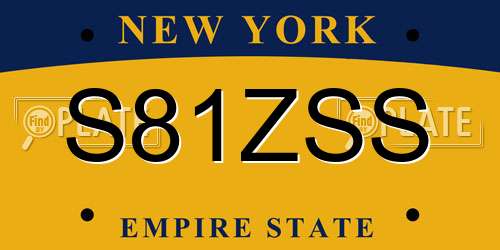 S81ZSS New York License Plate