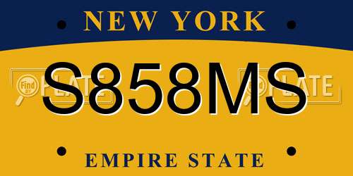 S858MS New York License Plate