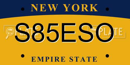 S85ESO New York License Plate
