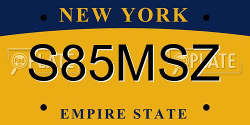 S85MSZ New York License Plate