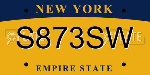 S873SW New York License Plate