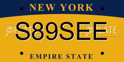 S89SEE New York License Plate