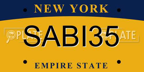 SABI35 New York License Plate