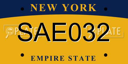 SAE032 New York License Plate