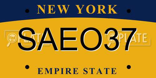 SAEO37 New York License Plate