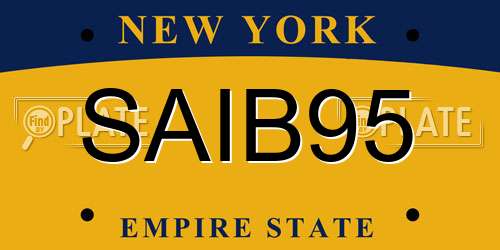 SAIB95 New York License Plate