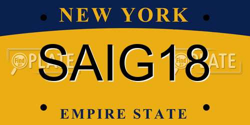 SAIG18 New York License Plate