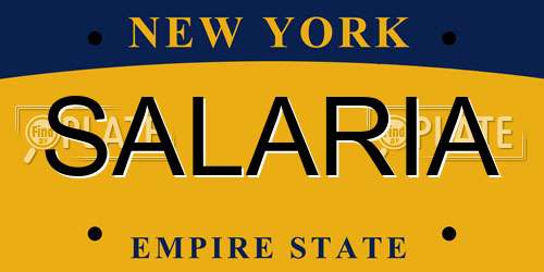SALARIA New York License Plate