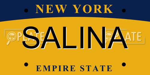 SALINA New York License Plate