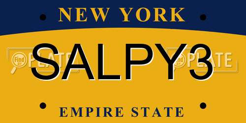 SALPY3 New York License Plate