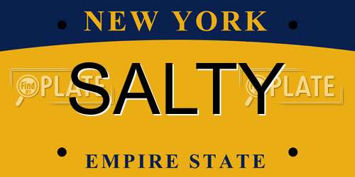SALTY New York License Plate