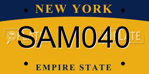 SAM040 New York License Plate