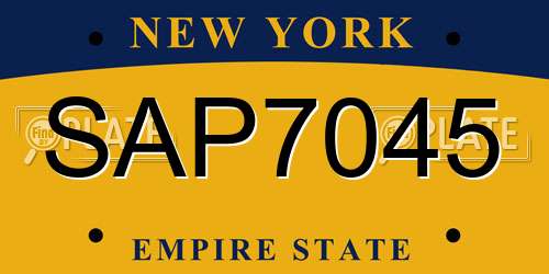 SAP7045 New York License Plate