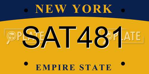 SAT481 New York License Plate