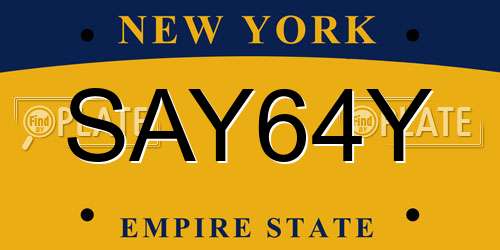 SAY64Y New York License Plate