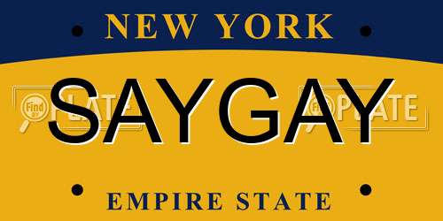 SAYGAY New York License Plate