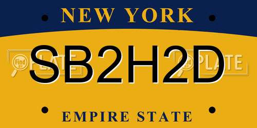 SB2H2D New York License Plate