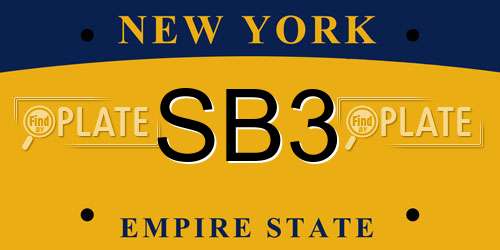 SB3 New York License Plate