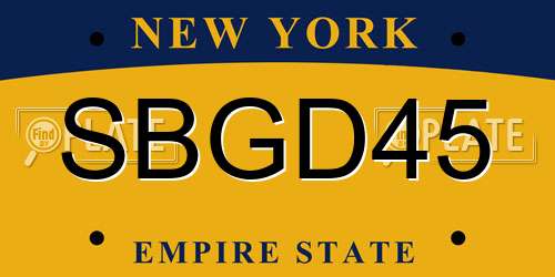 SBGD45 New York License Plate