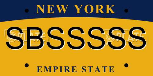 SBSSSSS New York License Plate
