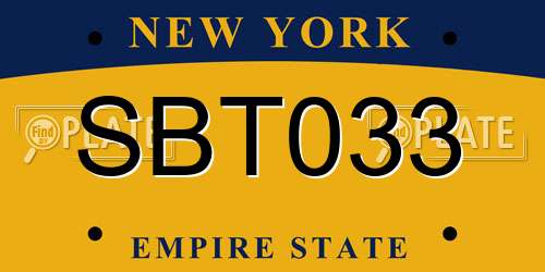 SBT033 New York License Plate