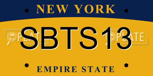 SBTS13 New York License Plate