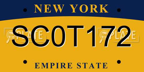 SC0T172 New York License Plate