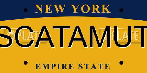 SCATAMUT New York License Plate