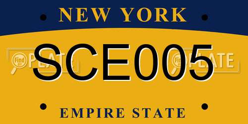 SCE005 New York License Plate