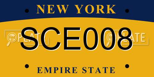 SCE008 New York License Plate