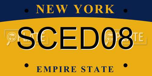 SCED08 New York License Plate