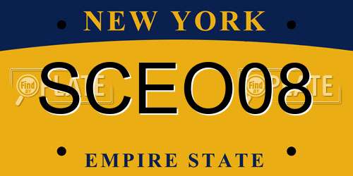 SCEO08 New York License Plate