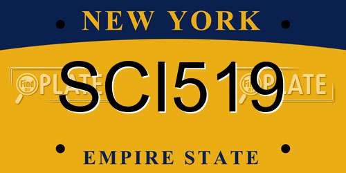 SCI519 New York License Plate