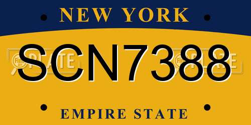 SCN7388 New York License Plate