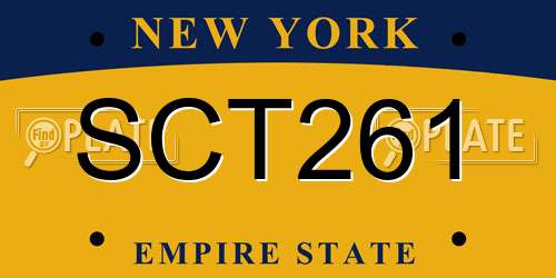 SCT261 New York License Plate