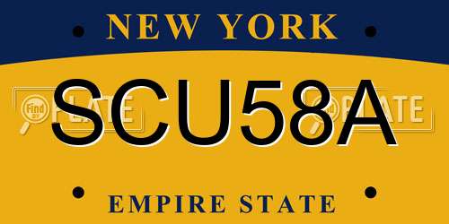SCU58A New York License Plate