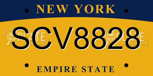 SCV8828 New York License Plate