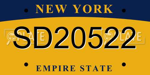 SD20522 New York License Plate
