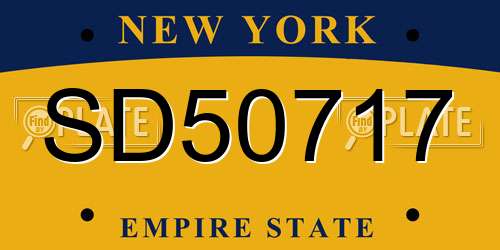 SD50717 New York License Plate