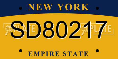 SD80217 New York License Plate