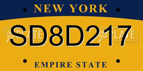 SD8D217 New York License Plate