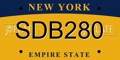 SDB280 New York License Plate