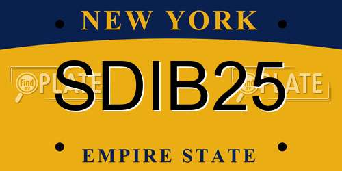 SDIB25 New York License Plate